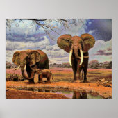 野生生物2 ポスター (正面)