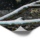 野生生物8 cmyk ポスター (角)