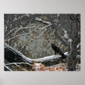 野生生物8 cmyk ポスター (正面)