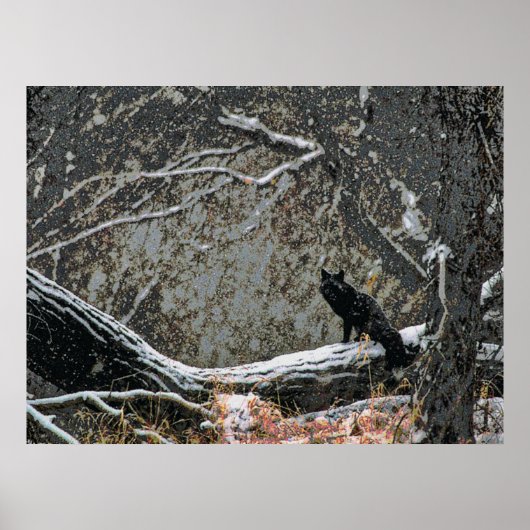 野生生物8 cmyk ポスター (正面)