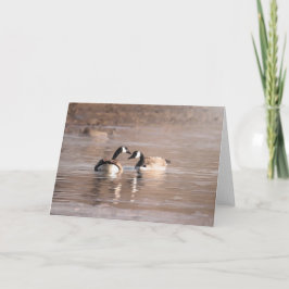 野生生物&アウトドア「愛」カード カード