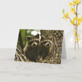 野生生物 – ベビーアライグマ写真 カード (黄色い花)