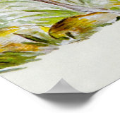 野生生物 ポスター (角)