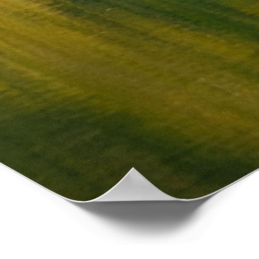 野生生物 ポスター (角)