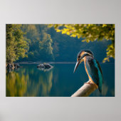 野生生物 ポスター (正面)