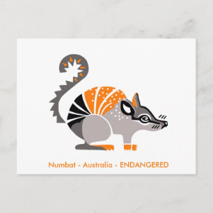 野生生物 – NUMBAT -クール Marsuphial – オーストラリア ポストカード