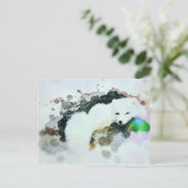 *～*野生生物AP18白雪北極極キツネ ポストカード (スタンド正面)