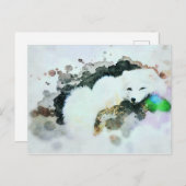 *～*野生生物AP18白雪北極極キツネ ポストカード (正面/裏面)