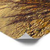 野生疑問に思のラゴ・エスコンディド ポスター (角)