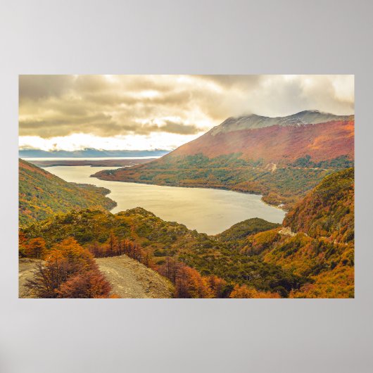 野生疑問に思のラゴ・エスコンディド ポスター (正面)