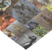 野生疑問に思:オーストラリアのフォトコラージュの魅惑 ショートテーブルランナー (コーナー)