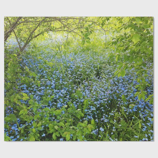野生私をnotsの花の写真忘れて下さい ラッピングペーパー (フラット)