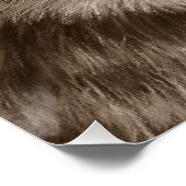 野生絵画のオオカミ ポスター (コーナー)