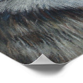 野生絵画のオオカミ ポスター (角)