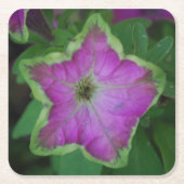 野生花のコースター スクエアペーパーコースター (正面)