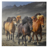 野生馬 タイル (正面)