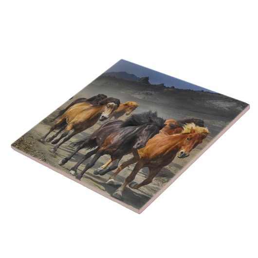 野生馬 タイル (側面)