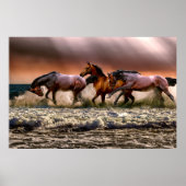 野生馬 ポスター (正面)