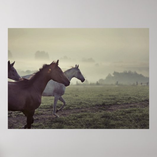 野生馬 ポスター (正面)