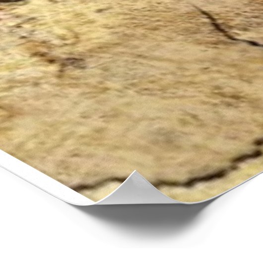 野生馬 ポスター (角)