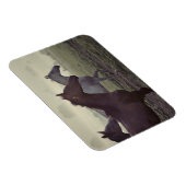 野生馬 マグネット (右側)