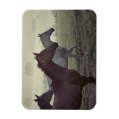 野生馬 マグネット (縦)