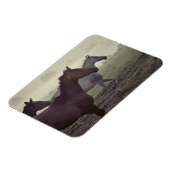 野生馬 マグネット (左側)