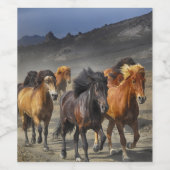 野生馬 ワインラベル (シングルラベル)