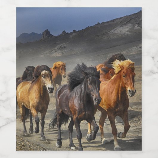 野生馬 ワインラベル (シングルラベル)