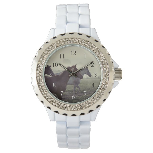 野生馬 腕時計 (正面)
