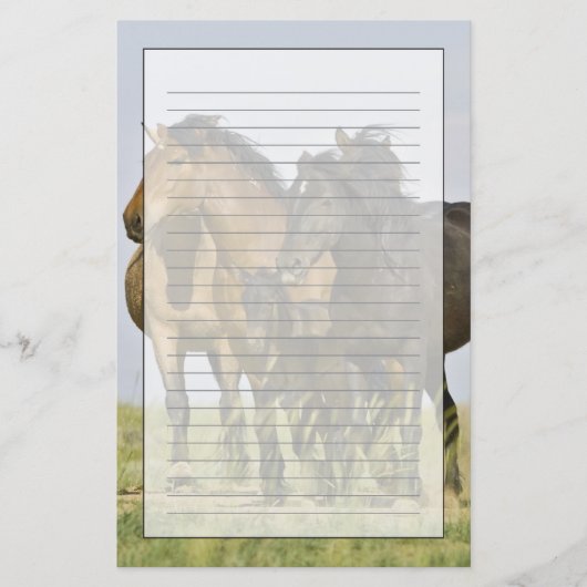 野生馬 (Equus caballus) 野生馬 便箋 (正面)