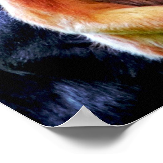 野生鮮やか動物公園のサルの写真 ポスター (角)