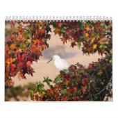 野生鳥類カレンダー カレンダー (カバー)