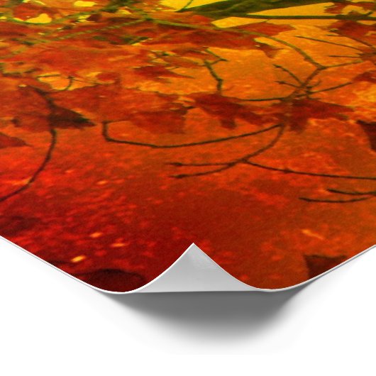 野生鳥類 ポスター (角)