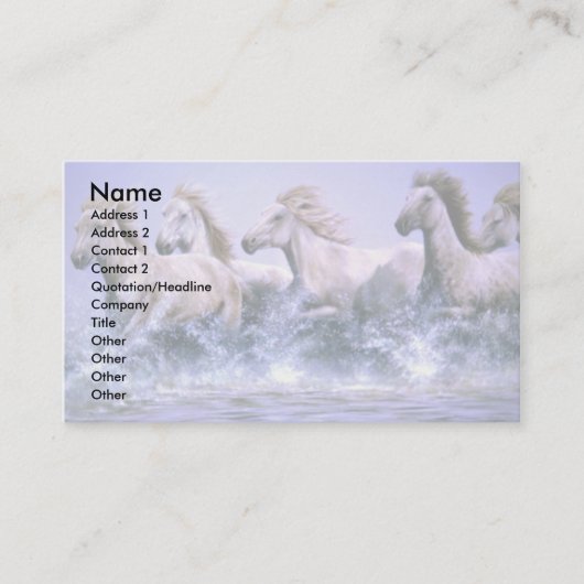 野生、Camargueの馬放せば 名刺 (正面)