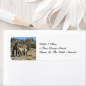 野生Nを含まない ラベル (インサイチュ)