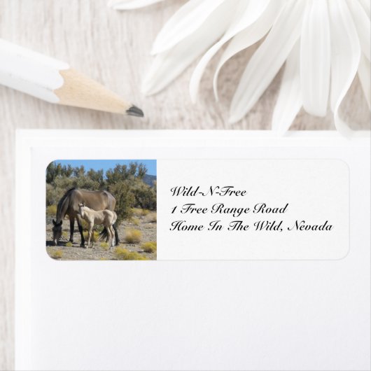 野生Nを含まない ラベル (インサイチュ)