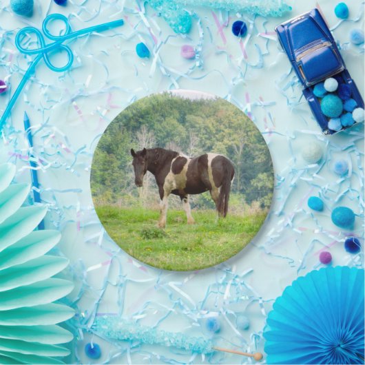 野絵を描中のアメリカの馬 ペーパープレート (パーティー)