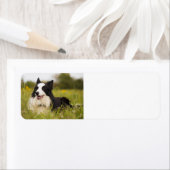 野縁ど花に咲く ラベル (インサイチュ)