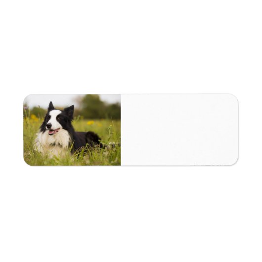 野縁ど花に咲く ラベル (正面)