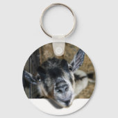 野良いヤギが外を見ている キーホルダー (正面)
