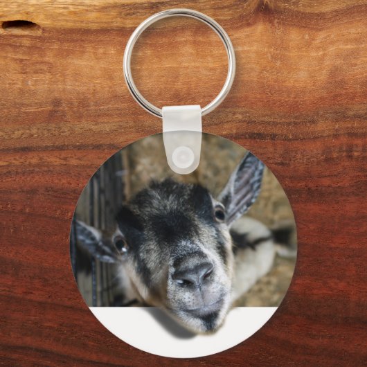 野良いヤギが外を見ている キーホルダー (正面)
