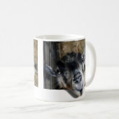 野良いヤギが外を見ている コーヒーマグカップ (正面右)