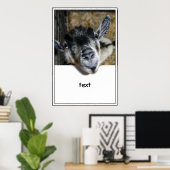 野良いヤギが外を見ている ポスター (ホームオフィス)