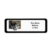 野良いヤギが外を見ている ラベル (正面)