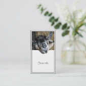 野良いヤギが外を見ている 名刺 (スタンド正面)