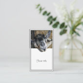 野良いヤギが外を見ている 名刺 (スタンド正面)