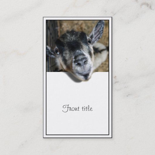 野良いヤギが外を見ている 名刺 (正面)