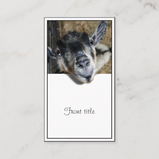 野良いヤギが外を見ている 名刺 (正面)