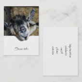 野良いヤギが外を見ている 名刺 (正面/裏面)